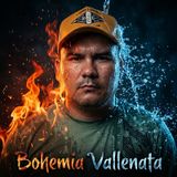 47.-LOS COMPADRES Y BOHEMIA VALLENATA Y FRANJA RECORDS ( CESAR ZABALA )