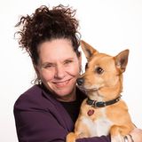 Rob McConnell Interviews - TERRI DANIEL - Afterlife Awareness