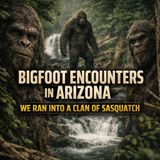 Bigfoot Encounters Near Greens Peak Arizona | Bigfoot Near the White River (Territorial Behavior)