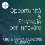 #1-Crisi d'impresa-Piano di risanamento - Renzo Radicioni