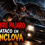 Historias de Miedo Octubre 5 de 2026 EL HOMBRE PAJARO NOS ATACO EN MONCLOVA