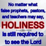Holiness - Living in a Wicked World