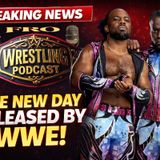 The New Day RELEASED by WWE!