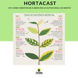 #17 - Como Identificar Os Sintomas De Deficiência Nutricional Na Horta?