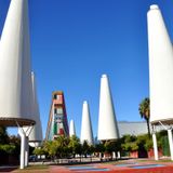 El cactus de la Expo, una joya botánica única en estado de abandono