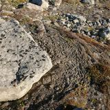 Un fluido potrebbe spiegare il mistero delle terrazze del permafrost