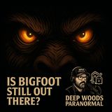 Is Bigfoot Still Out There? | Deep Woods Paranormal Investigation Continues