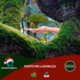 NUESTRO OXÍGENO Respeto por la naturaleza