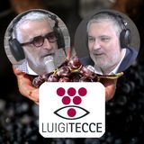 S.2 Ep.7 - La cantina LUIGI TECCE e i suoi VINI raccontati da LUIGI TECCE