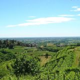 Pedemontana Veneta e Colli: un 2024 di crescita e soddisfazione turistica