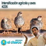Intensificación agrícola y aves #226