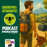Momentos del verano: viajar con mascotas