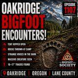 Oregon Bigfoot Encounters That Escalated for Years | Oakridge | Archives