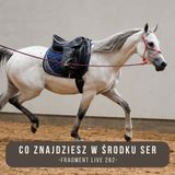 Co znajdziesz w środku SER - fragment live 262