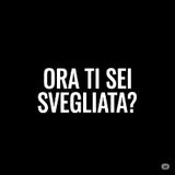 CLAMOROSO! GIORGIA MELONI VS ISRAELE!