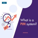 What is a PIM system?