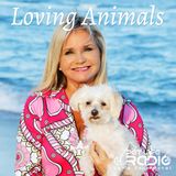 Be Humane - Episode 8 Paying Tribute to our Four-Legged Heroes