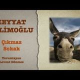 Zeyyat Selimoğlu - Çıkmaz Sokak