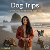 Dog Trips - Beach & Water Destinations Your Pup Will Love