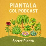 EP6 - SECRET PIANTA