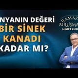 Dünyanın Değeri Bir Sinek Kanadı Kadar mı   AHMET KURUCAN