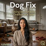 Dog Fix - Stop the Chaos: Fixing Chewing, Jumping, and Leash Pulling in Record Time
