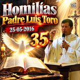 Homilía 25-05-2016 - Padre Luis Toro (el que quiera ser el Mas importante_ para los Gobernantes )