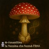🎙️Fuori Scala #18 - α-Amanitina la Tossina che fermò l’RNA -