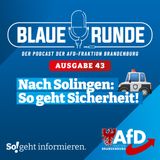 Nach Solingen: So geht Sicherheit! | Die Blaue Runde, Ausgabe 43/24 vom 30.08.2024