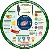 EP-278|Weight Loss Unlocked: What Really Happens Inside Your Body? ওজন কমার রহস্য: আপনার শরীরের ভেতরে আসলে কী ঘটে?