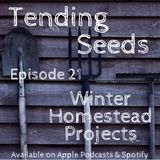 Ep 21 - Winter Homestead Projects