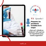 1. Plaquetas, las guardianas invisibles de la sangre