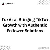 TokViral Bringing TikTok Growth with Authentic Follower Solutions