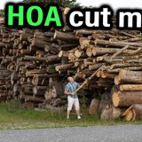 HOA Karen Sold Logging Rights on My Land.. My Trees are worth $450,000! r/Prorevenge