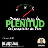 Viviendo la plenitud del propósito