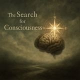 Philosophy Friday? David Chalmers on Consciousness, AI, and the Future of Mind - Five Philosophical Reflections