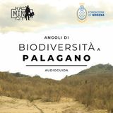Il territorio di Palagano