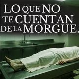 10 Relatos de TERROR de MORGUES y CREMATORIOS / ADIOS A YOUTUBE MI ULTIMO VIDEO