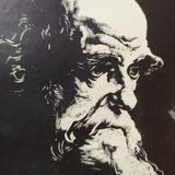 Darwin - ¿El más apto es el más moral?