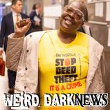 A Kidnapped Father, a Bed-Stuy Brownstone, and a Court Standoff | #WeirdDarkNEWS