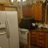 Bear On The Stove; A Titillating Teams Call; & Fart-Infected Sinuses