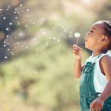 HAPPINESS OR JOY (Episode 742 - Preachify Daily Devotional)