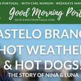 Dogs, hot dogs and Castelo Branco on Good Morning Portugal!