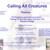 Pet Psychics and Communicators - Talking to Our Pets Here and Over the Rainbow Bridge