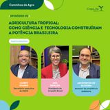 Agricultura tropical: como ciência e tecnologia construíram a potência brasileira