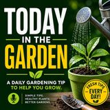 Don't overwater after spring rain