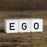 Special Report: Ego Fest VI