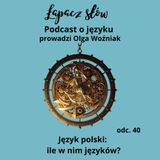 Język polski: ile w nim języków?