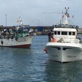 Noticias del sector: Acuerdo pesquero entre la UE y Guinea Bissau