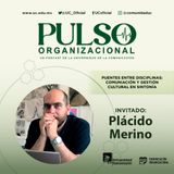 Puentes entre disciplinas: Comunicación y gestión cultural en sintonía